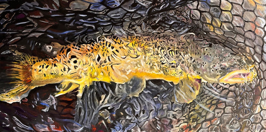 Netted — fine art print of original 48x24 oil painting of a brown trout by Jay Decker